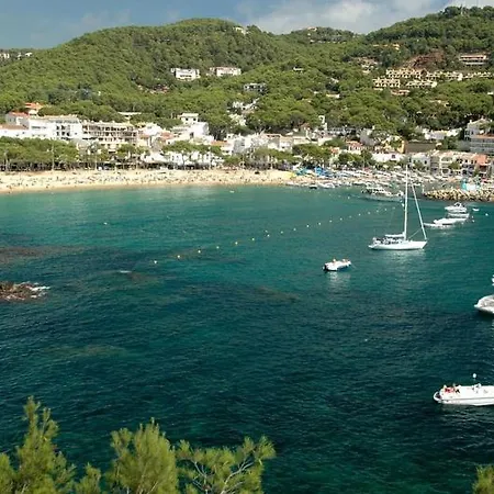 Apartament En Placa Nova ,