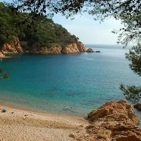 Apartament En Placa Nova , *